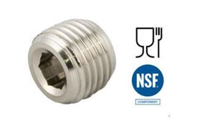 Immagine di 8309 TAPPO INOX 316L CONICO A BRUGOLA