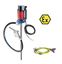Immagine di 2732 KIT POMPA  INOX ATEX 230V 400W